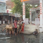 Hisar-safai-abhiyan (31)