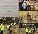 Tree plantation Sydney, Australia