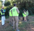 tree plantation new south wales australia