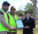 tree plantation new south wales australia