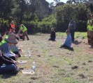 tree plantation new south wales australia