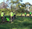 tree plantation new south wales australia