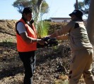 Tree Plantation Perth Australia