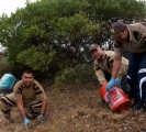 costal clean up california usa dera sacha sauda