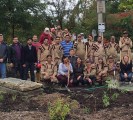 tree plantation indianapolis usa