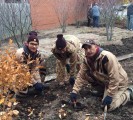 Tree Plantation Indiana USA