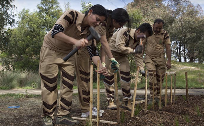 Tree Plantation to make earth green