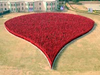 largest human droplet