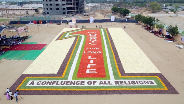 largest vegetable mosaic