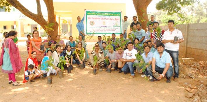 tree plantation in karnataka