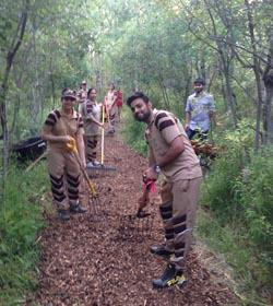 forest preservation and maintenance in winnipeg