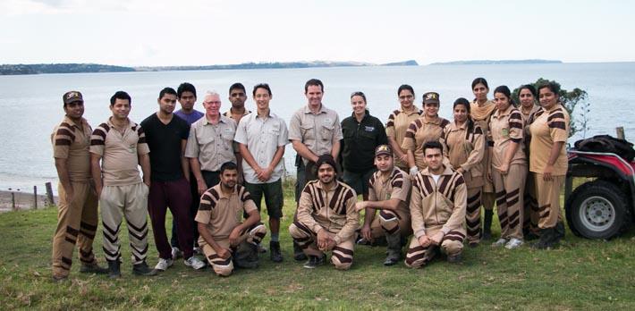 tree plantation in auckland new zealand