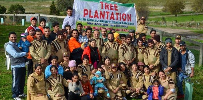 tree plantation in melbourne australia