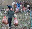 cleanliness campaign in london